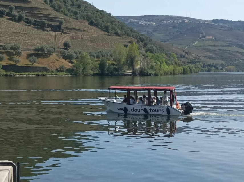 Pinhão: Douro Valley with Wine Tasting, Boat Trip and Lunch - Second winery: a deeper look at the valley’s wine culture