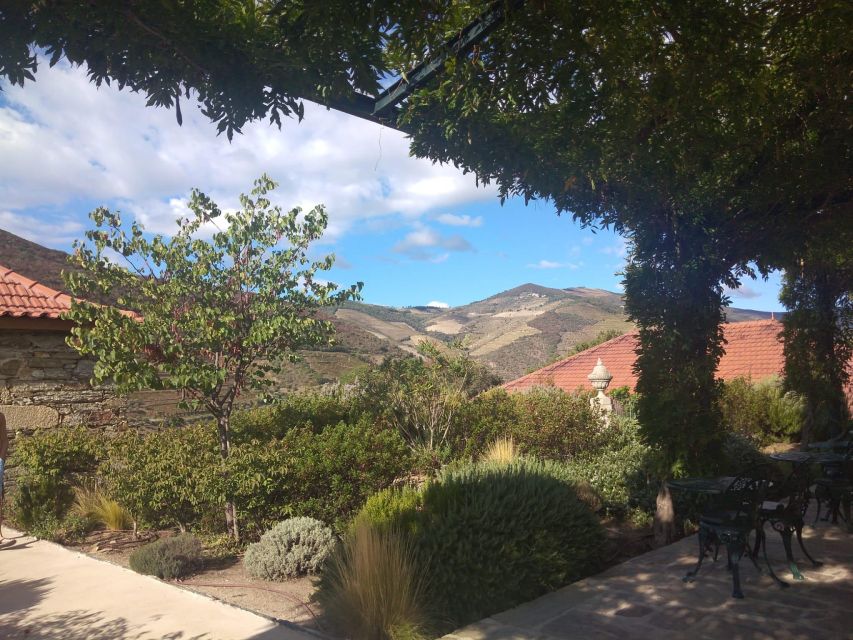 Pinhão: Douro Valley with Wine Tasting, Boat Trip and Lunch - The final viewpoint over the Douro