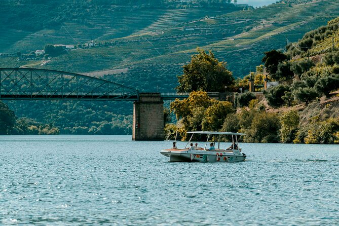 Pinhão: Electric Boat Experience 1h - Taste of Two Wines - Wine from Adega de Favaios