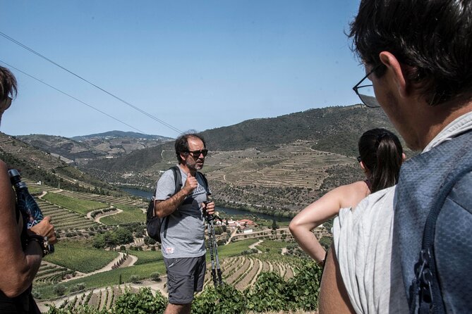 Pinhão Hiking Tour - Key things to know before you book