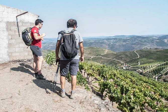 Pinhão Hiking Tour - Why this Pinhão hike feels different from a vineyard visit