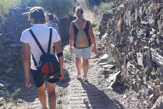 Pinhão Hiking Tour - The riverside picnic with homemade food and wine