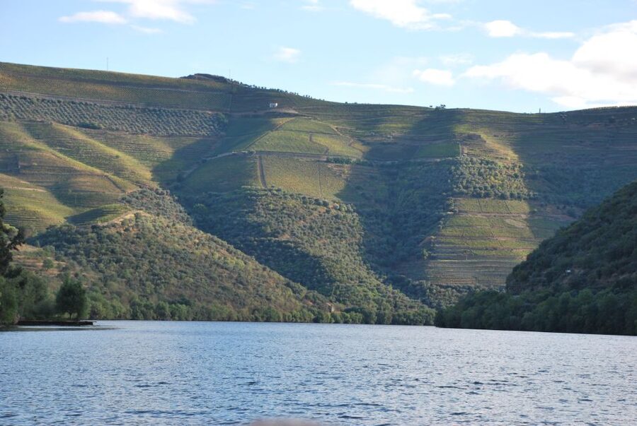Pinhão: Private Rabelo Boat Tour along the River Douro - Is $235 good value for one hour?