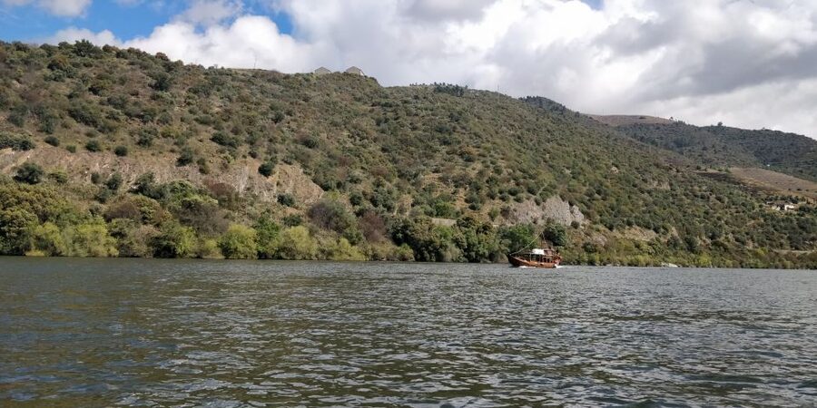 Pinhão: Private Rabelo Boat Tour along the River Douro - The audio guide and live explanation