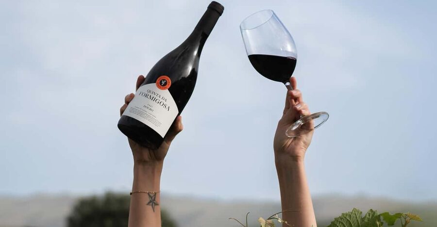 Pinhão: Quinta da Formigosa Vineyard Tour and Wine Tasting - The short drive from Pinhão