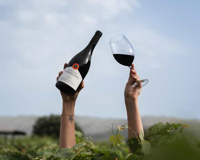 Pinhão: Quinta da Formigosa Vineyard Tour and Wine Tasting - Thirty minutes from grape to bottle