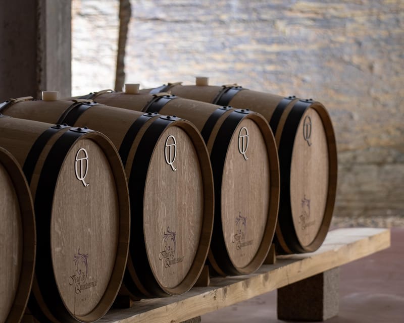 Pinhão: Quinta da Formigosa Vineyard Tour and Wine Tasting - Is $35 a fair price?
