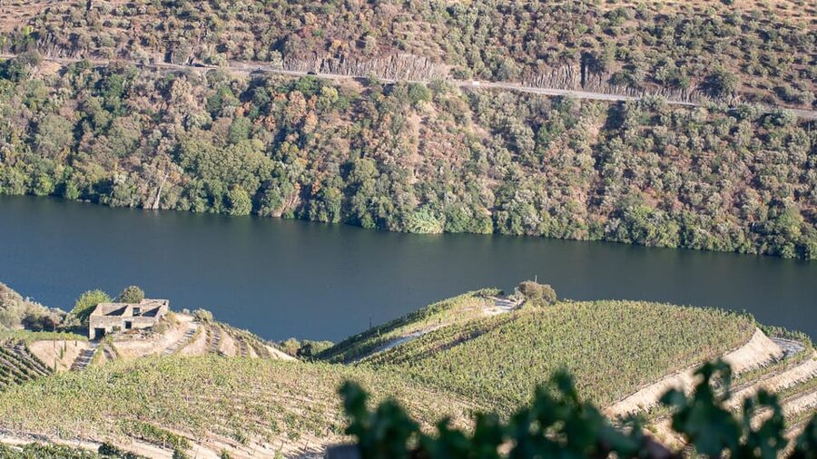 Pinhão: Quinta da Formigosa Vineyard Tour and Wine Tasting - Booking and practical details