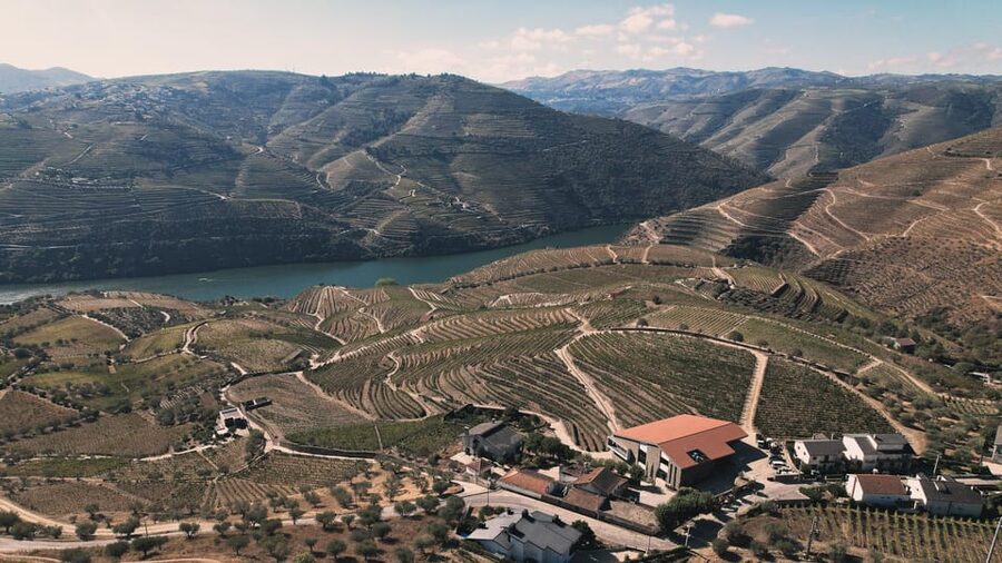 Pinhão: Quinta da Formigosa Vineyard Tour and Wine Tasting - Should you book Quinta da Formigosa?