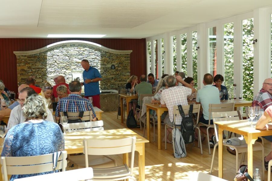 Pinhão: Quinta do Bomfim Visit and Tasting - Why Quinta do Bomfim is worth your time in Pinhão
