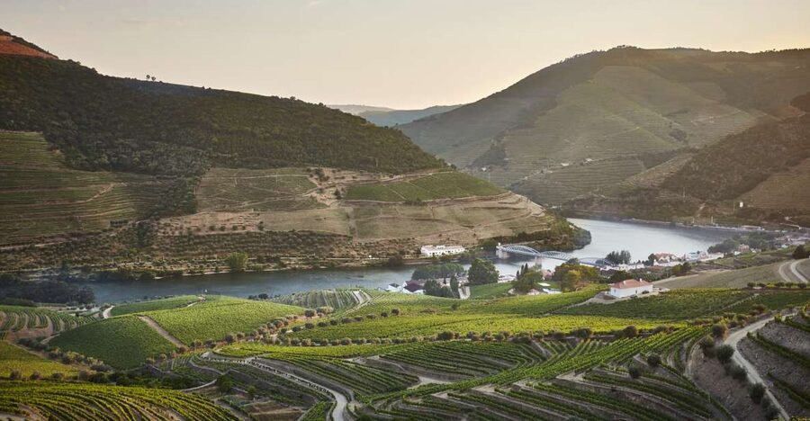 Pinhão: Quinta do Bomfim Visit and Tasting - Choosing a vineyard walk above the Douro