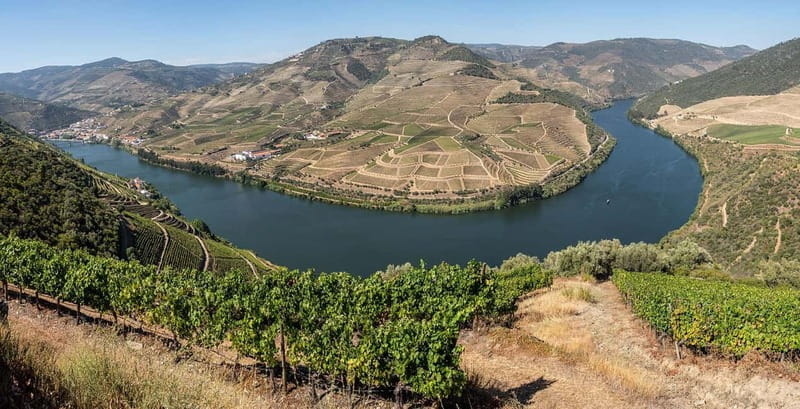 Pinhão: Rabelo Boat Cruise with a Port Tasting at a Winery - Who will enjoy this outing most