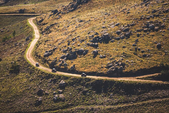 Ponte de Lima Guided Buggy Tour - What driving the buggy is really like