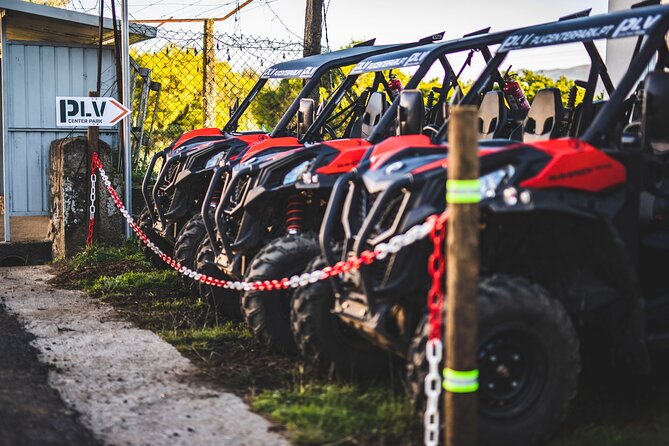 Ponte de Lima Guided Buggy Tour - Who will enjoy this ride most?