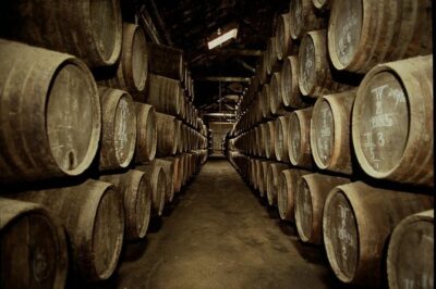 Port Wine Lodges Tour Including 7 Port Wine Tastings (English)