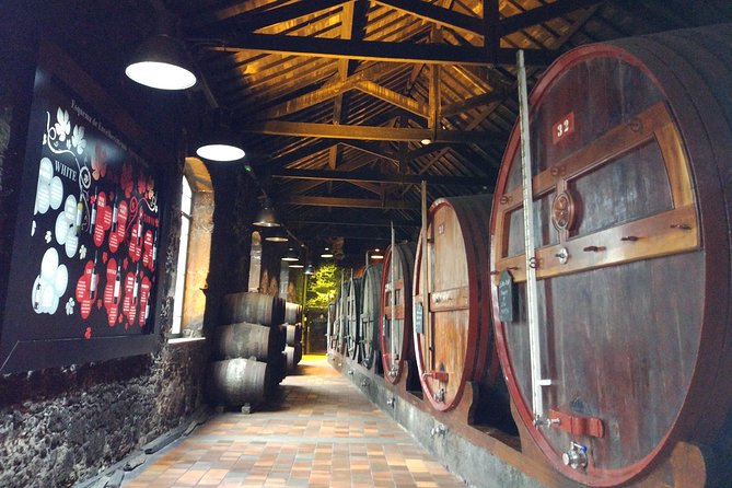 Port Wine Lodges Tour Including 7 Port Wine Tastings (English) - Is the $62.88 price fair?
