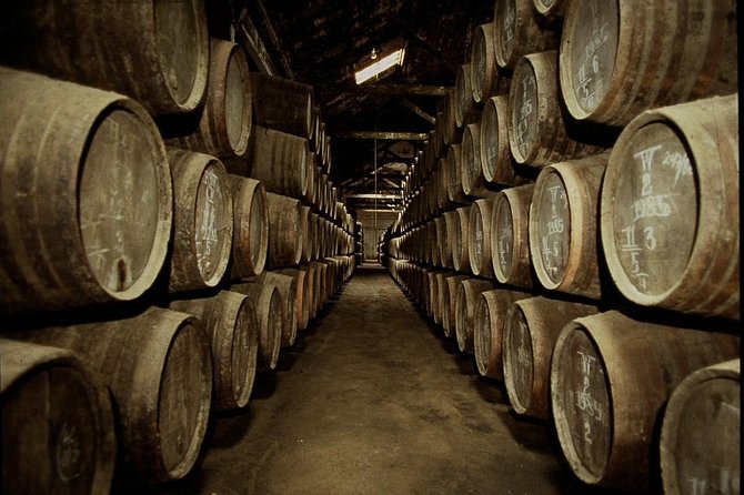 Port Wine Lodges Tour Including 7 Port Wine Tastings (English) - The first cellar: a polished introduction to port