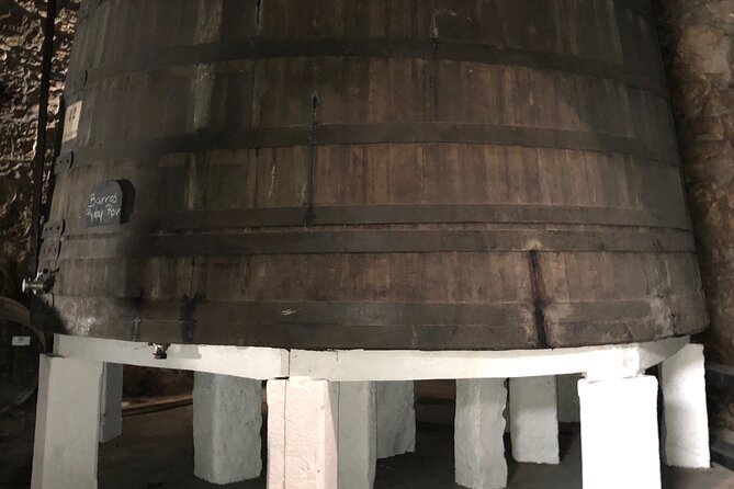 Port Wine Tour | 3 Cellars | 7 Tastings | 12 Participants Maximum - Nuno, David, and the value of a lively guide