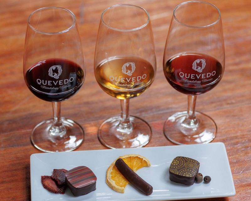 Port Wines & Chocolate Pairing - Arriving at the Vila Nova de Gaia lodge