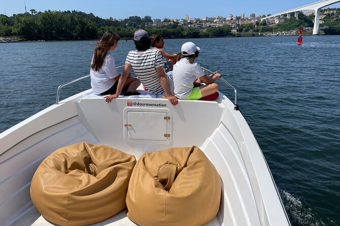 Porto: 2h Private Tour (1 to 6 people) on the Douro River with a local - Who should book this Porto boat tour?