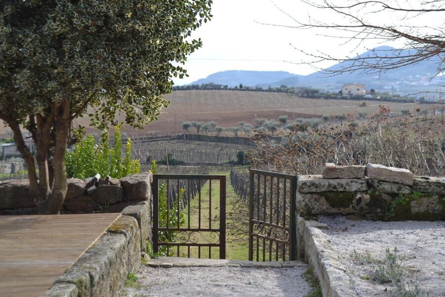 Porto: 3 Douro Valley Vineyards Tour with Lunch - Who should book this Douro Valley day trip
