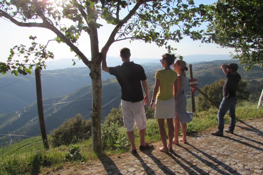 Porto: 3 Douro Valley Vineyards Tour with Lunch - Why the Douro Valley deserves a full day from Porto