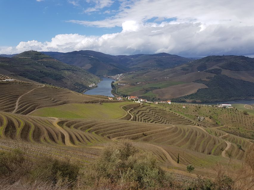 Porto: 3 Douro Valley Vineyards Tour with Lunch - Group size, comfort, and the real value of $129