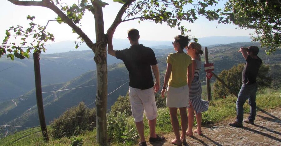 Porto: 3 Douro Valley Vineyards Tour with Lunch - Setting out from Porto at about 8:30 a.m.