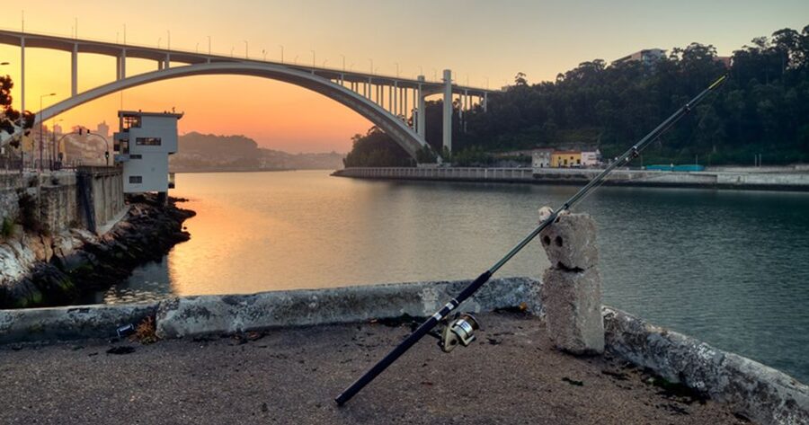 Porto: 3-Hour Bike Tour - Foz do Douro and the Atlantic edge