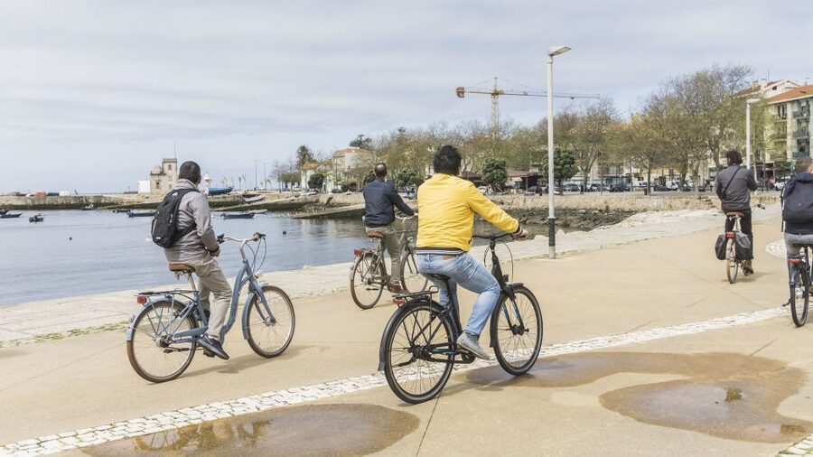 Porto: 3-Hour Bike Tour - What the bikes and ride feel like