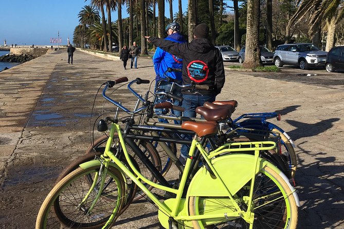 Porto: 3-Hour Old Town & Riverside Bike Tour - Guided Experience - Bridges, gardens, and broad Douro views