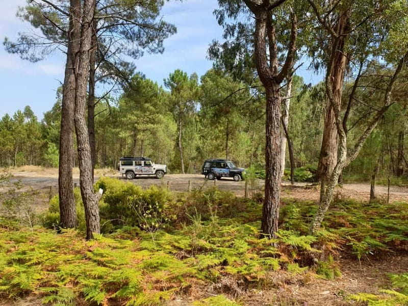 Porto: 4x4 Mountain Tour - Along the River Ferreira