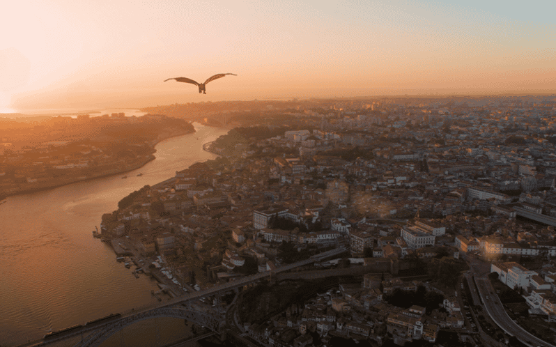 Porto: 5D Flight over de City for all family. - Key points to know before booking