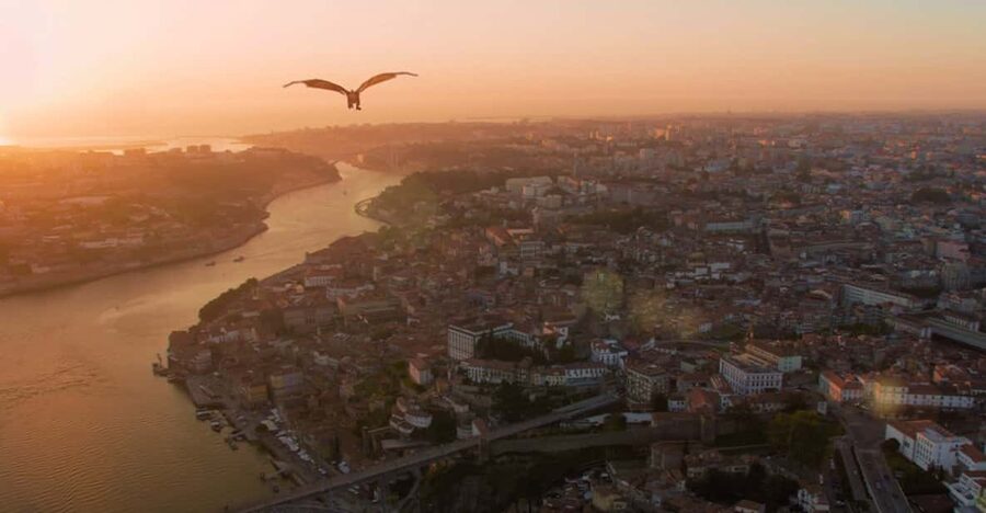 Porto: 5D Flight over de City for all family. - Why the central address is useful