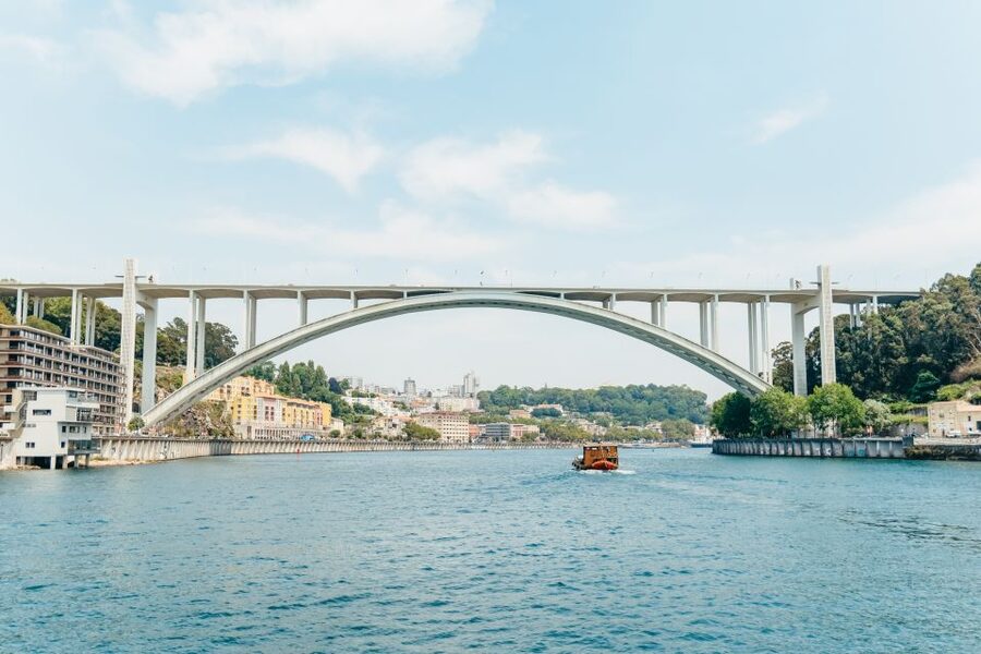 Porto: 6 Bridges Douro River Cruise - Who should book this experience?
