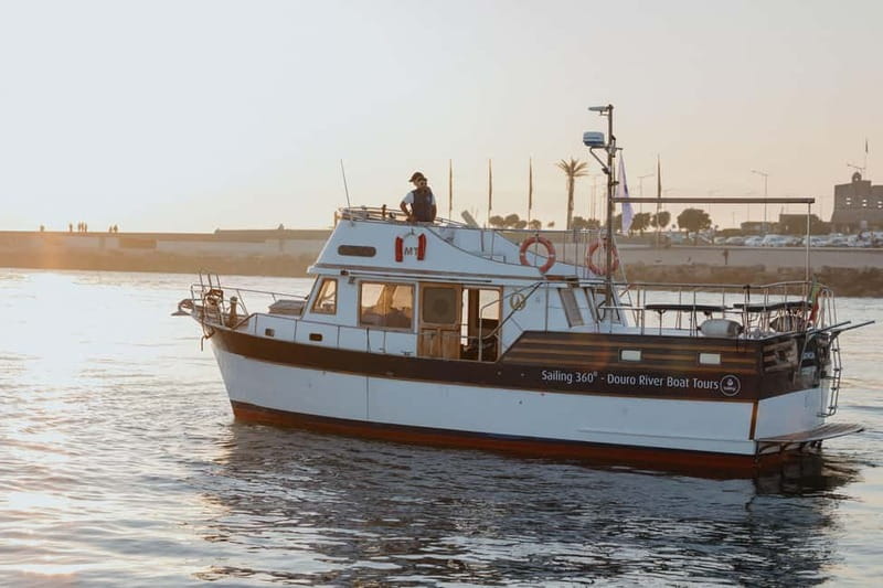 Porto: 6 Bridges Port Wine River Cruise with 4 Tastings - Arrábida Bridge and the western Douro