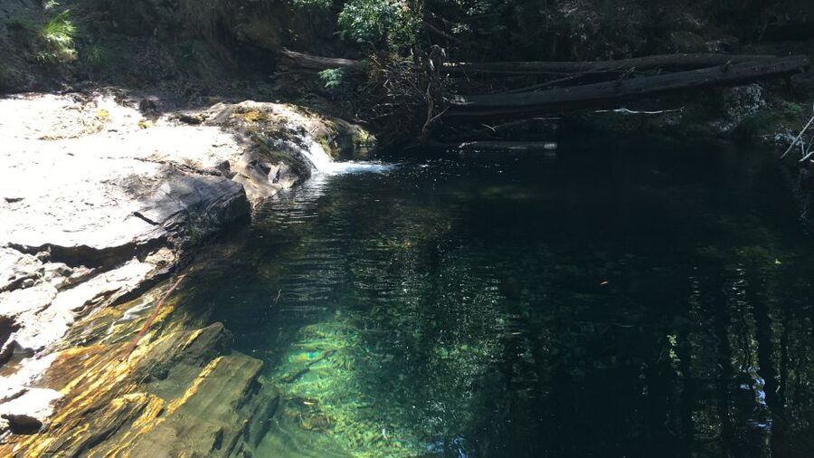 Porto and North coast Exclusive & Secret Waterfalls in 4x4 - Returning through Angeiras and its fishing tradition