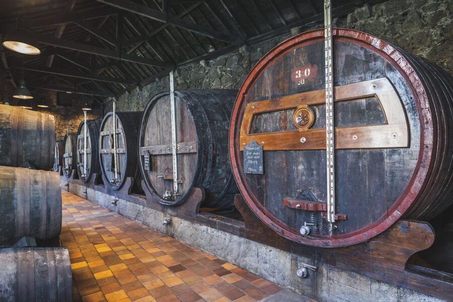 Porto: Burmester Cellar Tour with Tasting & Pairing Options - What the cellar visit actually covers