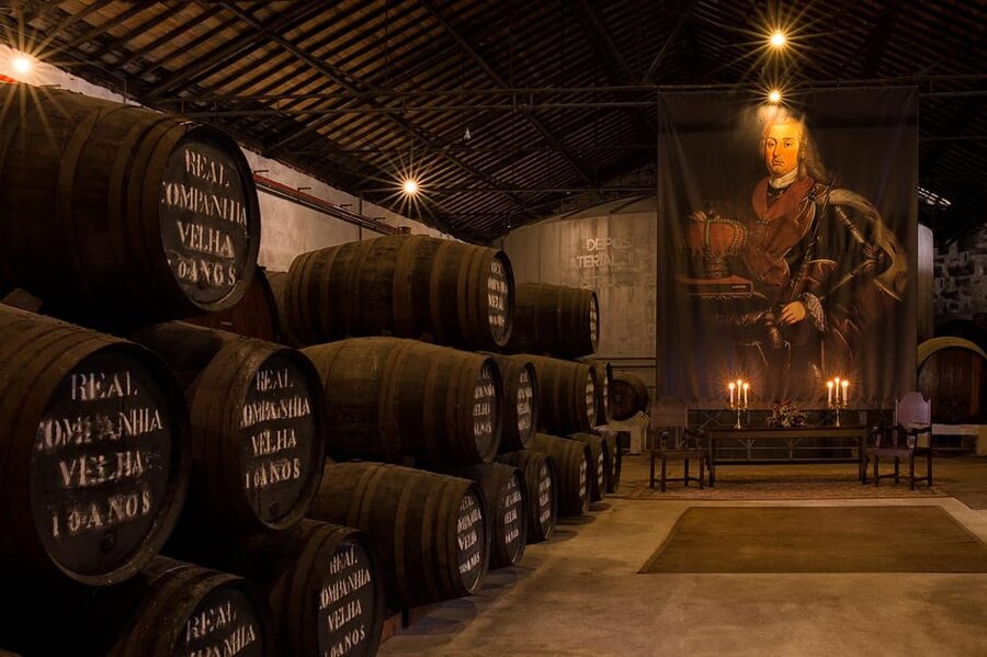 Porto: Carvalhas cellar tour at Real Companhia Velha - Who will enjoy this Port cellar visit?