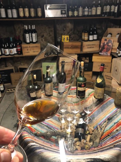 Porto: Cheese and Port Wine Tasting in a Unique Place - Four Portuguese cheeses, four different personalities