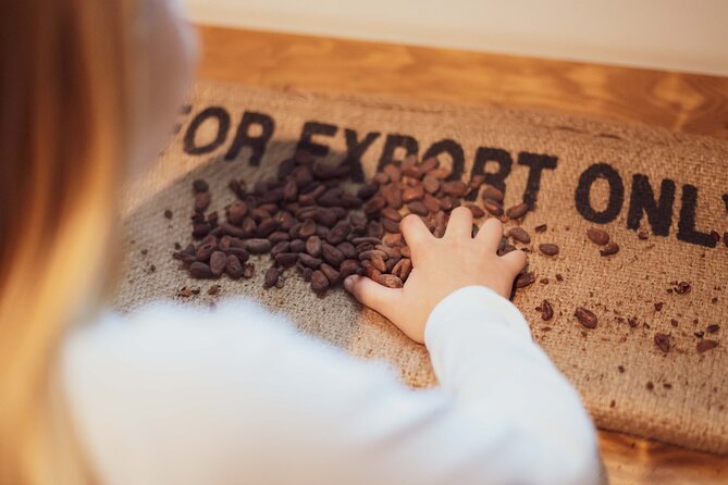 Porto: Chocolate Museum - Chocolate’s Delicious Journey + Tasting - Starting the chocolate story in Porto