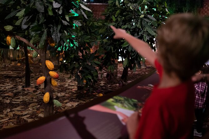 Porto: Chocolate Museum - Chocolate’s Delicious Journey + Tasting - Seeing chocolate made at the Vinte Vinte factory