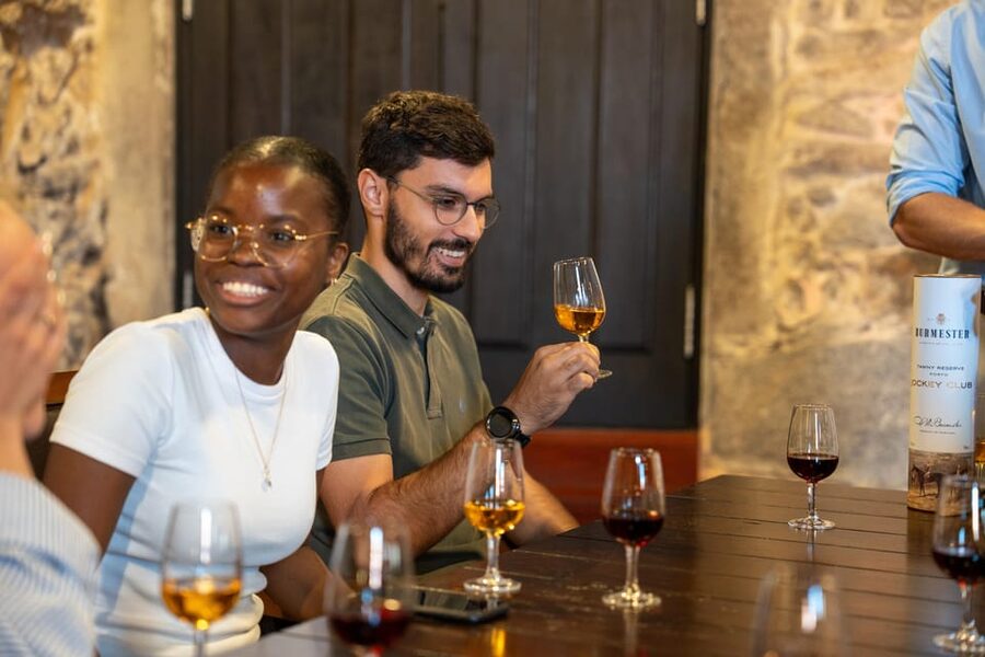 Porto City Full Day Minibus Tour, Wine Tasting & Six Brigdes - Starting at Avenida dos Aliados and São Bento