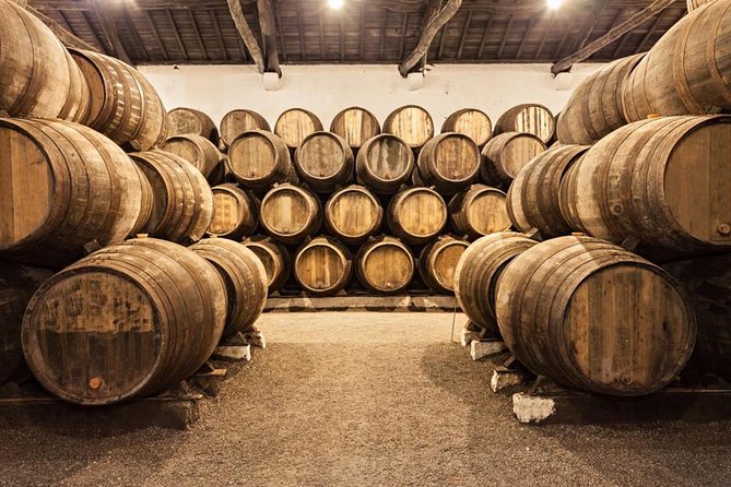 Porto City Tour with Wine Tasting - São Bento Station and Porto’s Painted Story