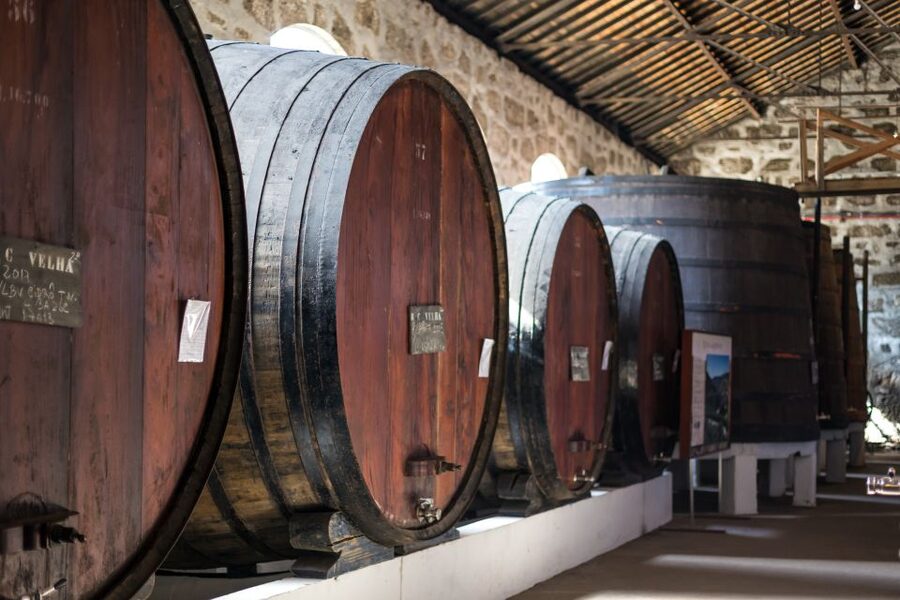 Porto: City Train Tour, River Cruise & Wine Cellar - Seeing six bridges from the Douro