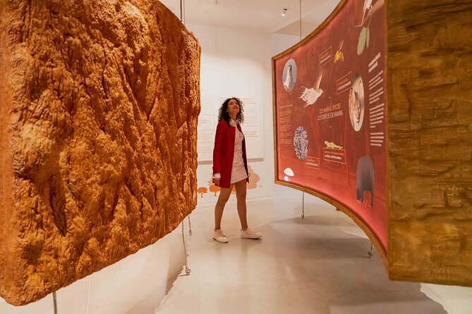 Porto: Cork Museum - Interactive and Family Friendly Museum - Why cork makes a worthwhile Porto museum visit
