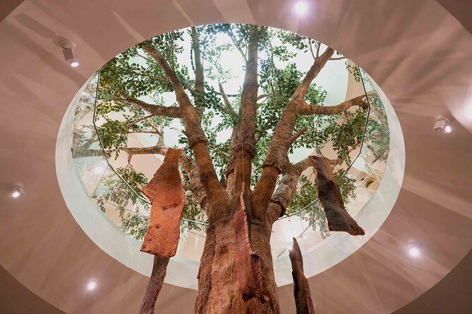 Porto: Cork Museum - Interactive and Family Friendly Museum - Allowing enough time for the full experience