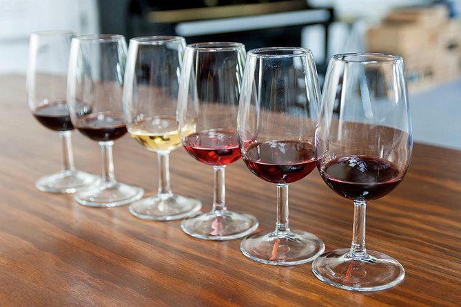 Porto: Day Trip to Douro including lunch and Rivercruise - The guide can make or break the day
