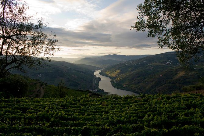 Porto: Day Trip to Douro including lunch and Rivercruise - A traditional Portuguese lunch in the valley
