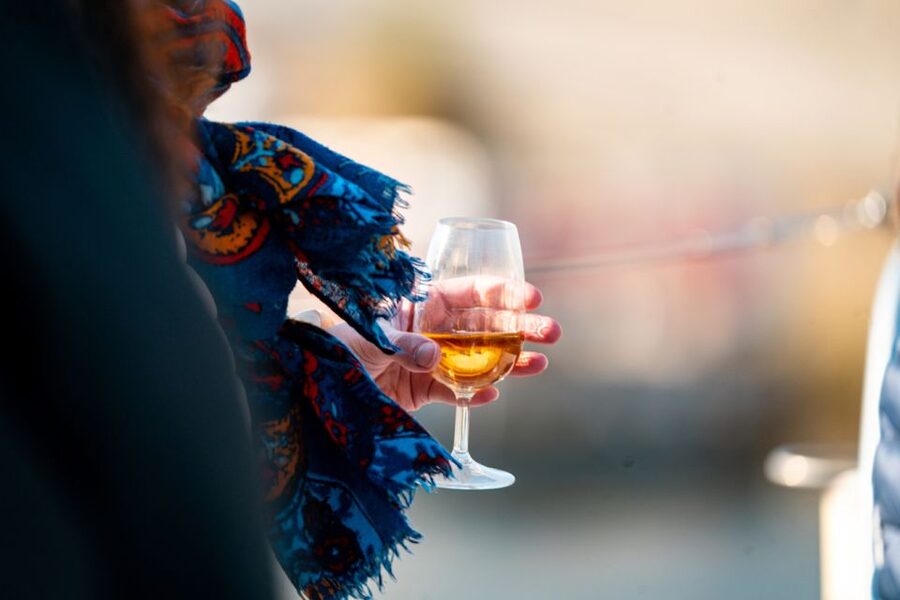 Porto: Daytime or Sunset Douro River Sightseeing Cruise - The Dom Luís I Bridge and Gaia cellars